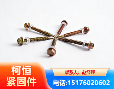 甘孜六角钻尾丝